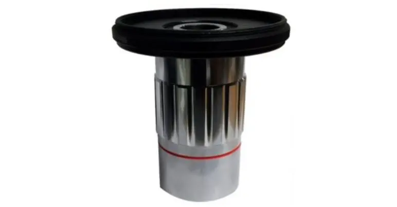 lins_+25