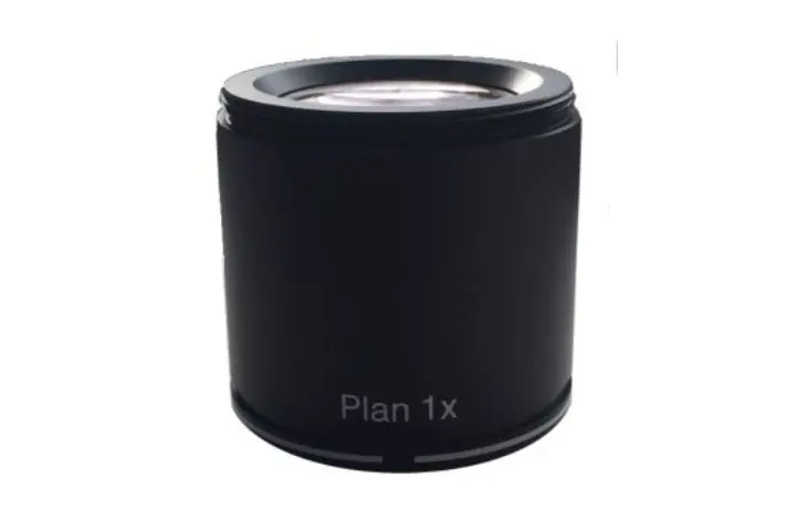 plan_+10